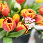 Matzner-Markt 11. Mai 2023: Blumen für den Muttertag